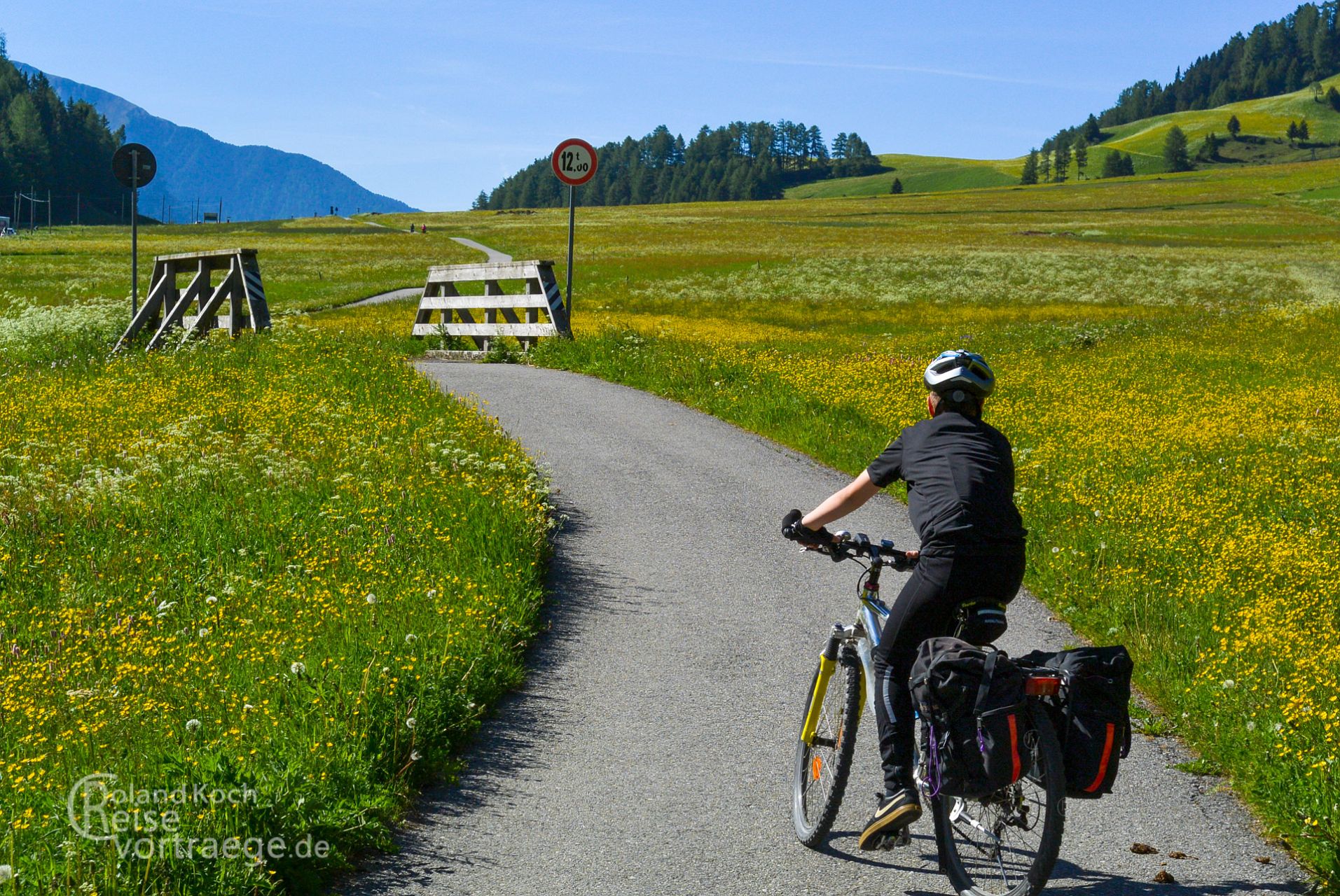 mit Kindern per Rad über die Alpen, Via Claudia Augusta, blühende Wiesen am Reschenpass